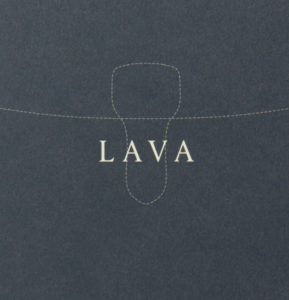 LAVA Brand Book