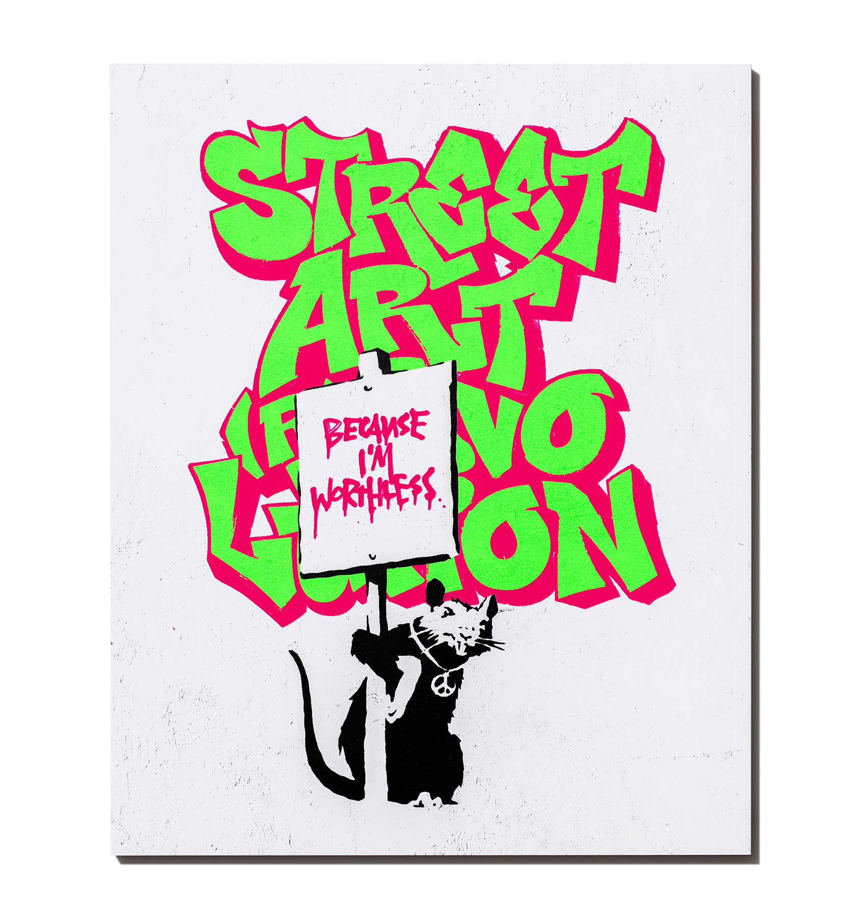 Street Art (R)Evolution Book